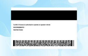 Editable Ohio Drivers License Template