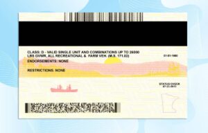 Editable Minnesota Drivers License Template