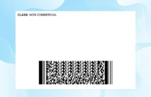 Editable Montana Drivers License Template