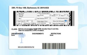 Editable South Carolina Drivers License Template