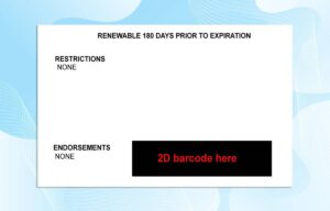 Editable South Dakota Drivers License Template