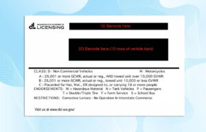 Editable Washington Drivers License Template