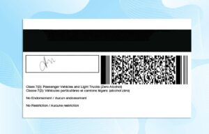 Editable Canada Brunswick Drivers License Template