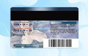 Editable Canada Ontario Drivers License Template
