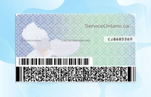 Editable Canada Ontario Drivers License Template