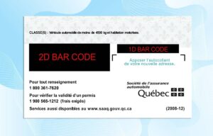 Editable Canada Quebec Drivers License Template