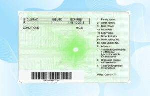 Editable New Zealand Drivers License Template