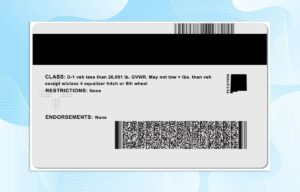 Editable New Mexico Drivers License Template