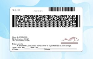 Kentucky Drivers License Template - PSD File