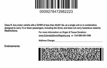 Colorado Drivers License Template