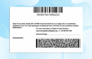Colorado Drivers License PSD Template