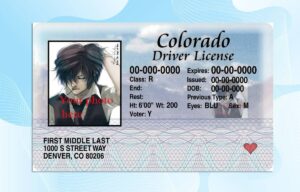 Colorado Drivers License PSD Template