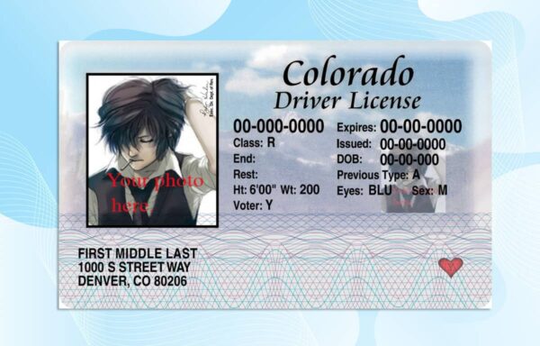 Colorado Drivers License PSD Template