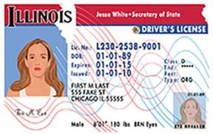 Editable Illinois Drivers License Template