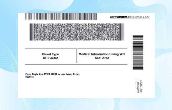 Editable Illinois Drivers License Template