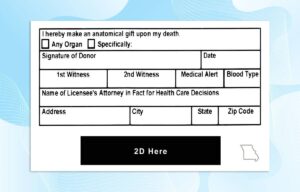 Editable Missouri Drivers License Template