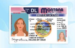Editable Montana Drivers License Template