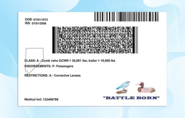 Editable Nevada Drivers License Template