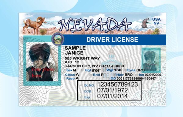 Editable Nevada Drivers License Template