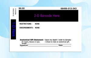 Editable Wisconsin Drivers License Template