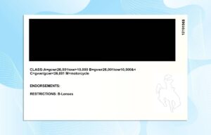 Editable Wyoming Drivers License Template