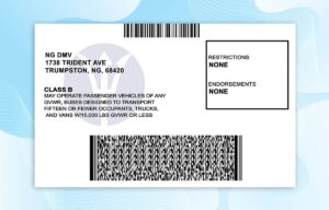 Editable North Virginia Drivers License Template