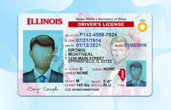 Editable Illinois Drivers License Template