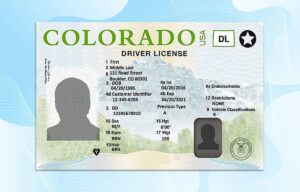 Colorado Driver License PSD Template (New Edition) - Fully editable